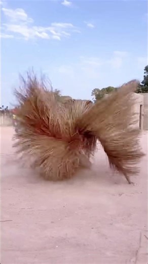 The Untouchable Koumpo Ritual 😱 #tribes #tribalunity