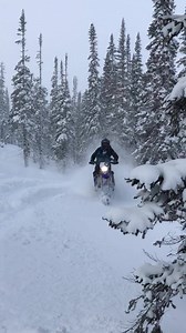 5.4K views · 19 reactions | Yes, it’s that fun! Timbersled Products SLEDWORTHY MAGAZINE #ARO120 | Sledcore | Facebook