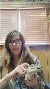 Fun Facts With WTB: American Alligators Eat Fruit? 🤔