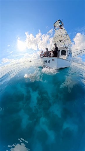 Double Threat Fishing Charters on Instagram: "Found some schools of ballyhoo getting chased so we casted a bait into the middle of them and hooked up to this sailfish! #miamifishing #doublethreatcharters #nofishissafe"