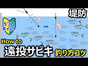[HowTo] Tips for long-distance sabiki fishing