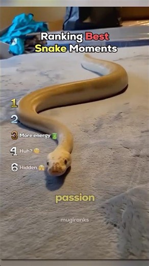 ranking best snake moments #usa