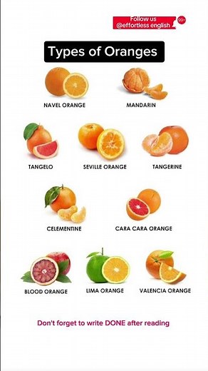 Types of oranges #shorts #shortvideo #english #vocabulary
