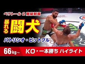 朝倉未来はパトリシオ・ピットブルに勝てるのか？ 66kg Patrício"Pitbull"Freire Knockout Highlights