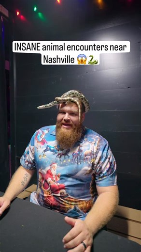 XPLR.NASH on Instagram: "You think you’re ready… until the snake locks eyes with you 😅🐍 Lucky Ladd Farms has some of the most unforgettable animal encounters you can experience within an hour of Nashville. Located in Eagleville, Tennessee, this is one of the most hands on ways to get face to face with animals you usually only see on a screen. One of the most memorable hands on animal experiences near Nashville, and every encounter feels like a story you’ll be telling for years. Tag the friend