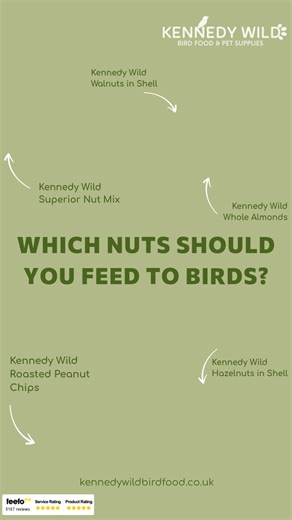 🥜 Support your garden birds with a natural source of energy and essential nutrients. From roasted peanut chips to hazelnuts in shell, our premium nut range helps keep birds healthy, strong, and coming back for more. Shop now! | Kennedy Wild Bird Food & Pet Supplies UK
