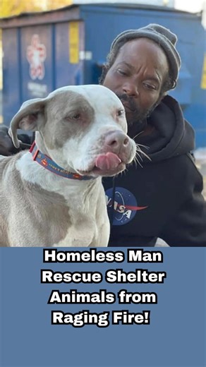 13K views · 831 reactions | ️ Viral Alert!  Homeless Hero Risks...