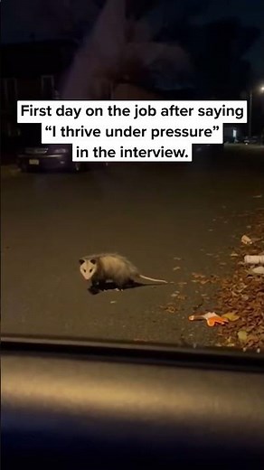 POV: You Said "I Thrive Under Pressure" in the Interview 💀