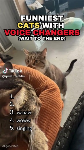 5 Cat Voice Changers That Are Officially Breaking TikTok #rankkings #viral2026 #cuteanimals #cute