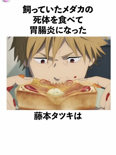 藤本タツキの奇妙なエピソードとメダカの話