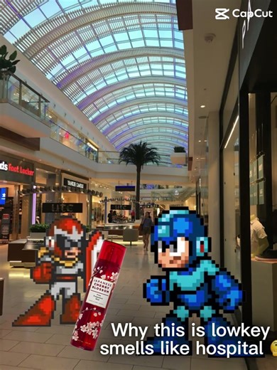 The adventures of MegaMan episode 47