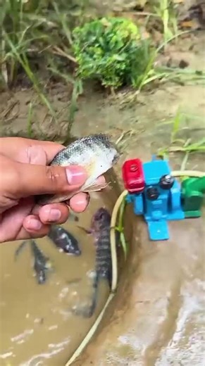DIY Tractor Fishing Using a Mini Water Pump
