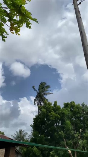 Thank U Tila Wtu🙏❤#fypppppppppシシ #goviral #milions #trending @TILA LILA