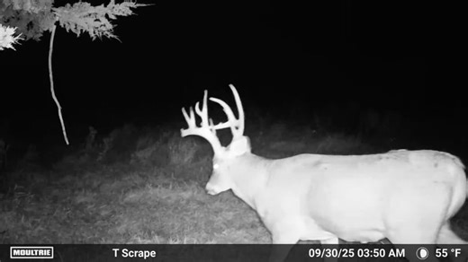 Moultrie Products on Reels