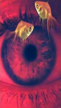 Crystal Method Ft. Alan Watts | Glass Breaker (s) 2