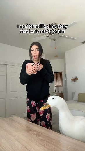 it worked 😫🙏🏼 . . . . . #meme #memes #funny #comedy #relatable #cute #before #after #beforeandafter #duck #dog #dogsofinstagram | Yudy Pulido