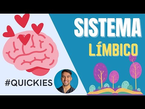 LIMBIC SYSTEM AND PAPEZ CIRCUIT SUMMARY