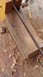 Proses Mengacip buah pinang kering | Duhana Rachman