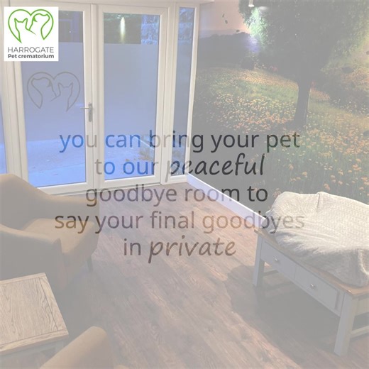 4.9K views | The loss of a pet can be devastating. Our pet...