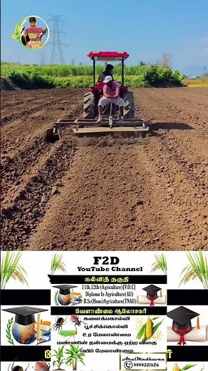 A new achievement for farmers! Machine-assisted harvesting of entire fields – cost and time will ...