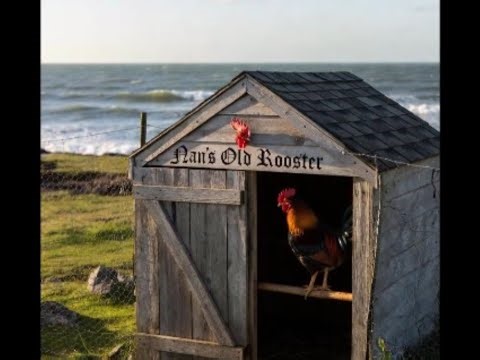 Nan's Old Rooster