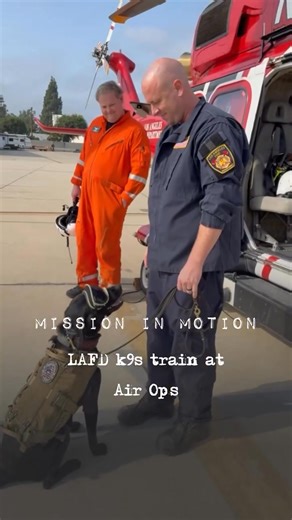 Repost from @lafdk9 • 🚁🐾 Last week, LAFD K9 teams took to the skies! Our search dogs trained with @lafdairops , practicing helicopter loading, unloading, and flight—all essential skills for real-world deployments. When disaster strikes, helicopters may be the only way to reach remote or devastated areas. These training sessions ensure our K9s are ready and confident to fly when lives are on the line. 🐕‍🦺🔥 #LAFDK9 #SearchAndRescue #UrbanSearchAndRescue #K9Training #LAFD #DisasterResponse #Ai