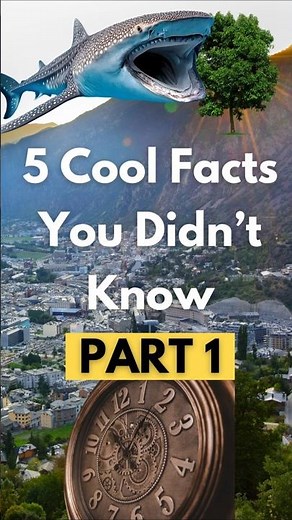 5 Cool Facts You Didn’t Know - Part 1 #coolfacts #randomfacts #facts #randomknowledge #interesting