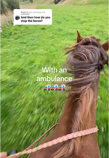 Exploring Bareback Galloping with Horses