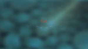 Karaoke Big Empty - Stone Temple Pilots - CDG, MP4, KFN - Karaoke Version