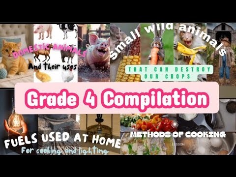 GRADE 4 CBC Agriculture and Nutrition Revision Notes