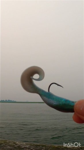 The BEST Way to Rig GULP Fishing Bait #gulp #berkleyfishing #fishingrigs #gulpbait #howtofishing