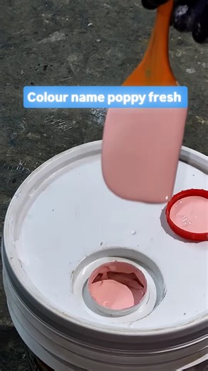 Tutti Futti Design on Instagram: "The Walmasta Glow shade code 8058 is Poppy Fresh, a pale, off-white, or ivory color. It is a variant of the "P0 New" base, which serves as the starting point for creating lighter shades in the Walmasta Glow product line. Product details: Walmasta Glow Manufacturer: Berger Paints. Product Type: A water-based acrylic emulsion paint for exterior walls. Finish: Offers a soft sheen finish. Shade code: 8058. Color name: Poppy Fresh. Base: PO New. Features: Provides a 