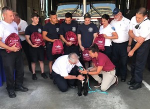Brookline FD Outfitted with Life-saving Tool for Family Pets