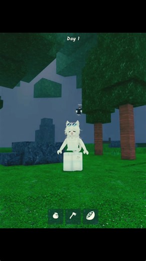 What is this 😭 #roblox #robloxfyp #growagarden #robloxfunny #robloxedit #robloxgames #robloxmeme #fyp #reelsfacebook #highlights #99nightsintheforest. | Daniel James JD