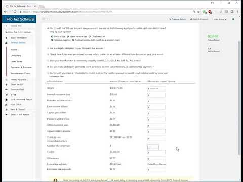 8379 Injured Spouse Allocation