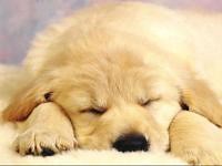 佐々木絵里　かわいいね水着画像