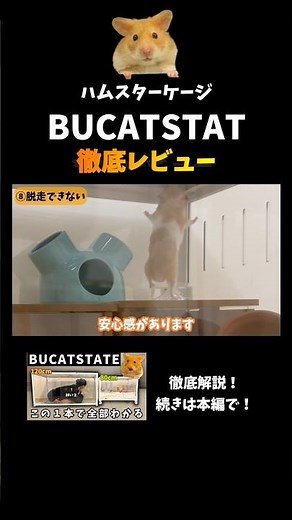 ↓Thorough review of the BUCATSTATE 120cm metal cage for hamsters #GoldenHamster #BUCATSTATE #BUCA...