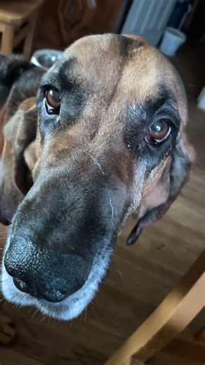 Loves his back scratched.