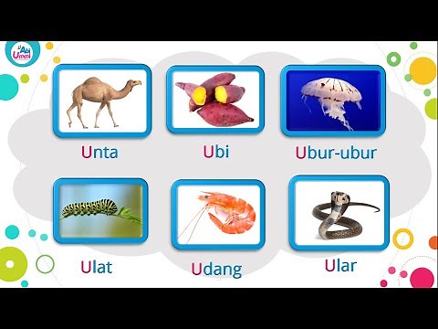 Belajar Mengenal Nama Benda Huruf U - Flashcard HURUF U