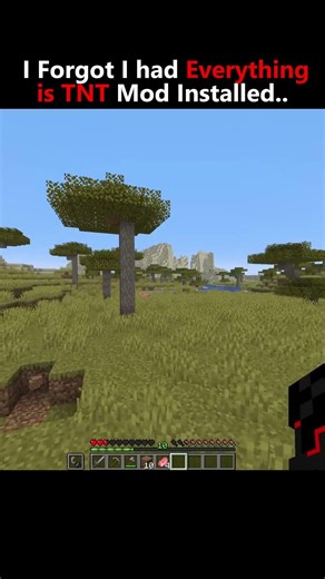 Minecraft Pig Blown up Moment 💀