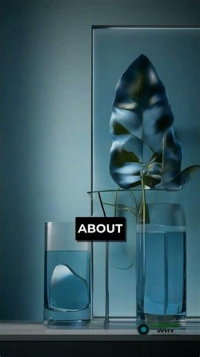 Why Ecosystems Matter for Human Survival