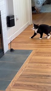 1.1K views · 10K reactions | NEW Customers Get 10% OFF—First-Time...