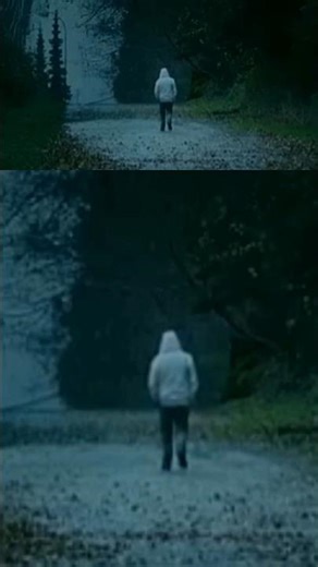 zoom out tutorial #inshot #edit