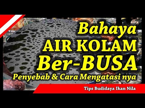 Causes of Foamy or Frothy Pool Water and How to Fix It