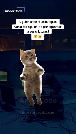 #Meme #andercode #developer #programacion #python #novia #humor #esposa | AnderCode