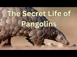 MIND-BLOWING Pangolin Facts You Never Knew Existed