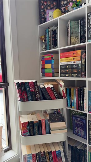 Exploring the World of Books: A Book Lover's Journey