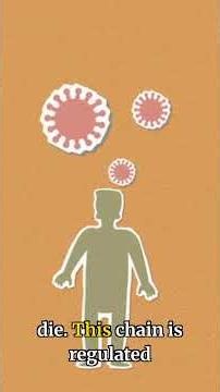 Cancer Doesn't Mean the End: Here's How to Fight Back | Dr. Joshi’s Multispeciality Clinic