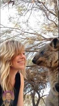 Meet the Quokka: The Cutest Animal You’ve Never Heard Of 😍🔥