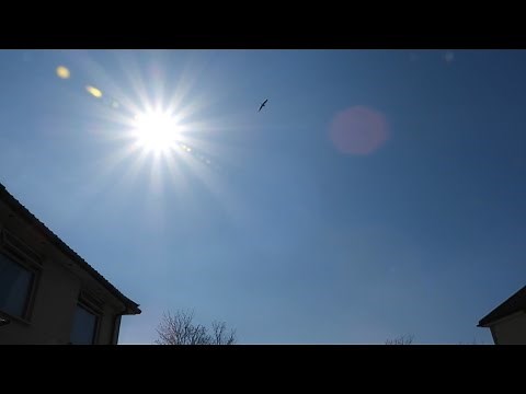 NIKON P1000 - ZOOMING THE SUN!